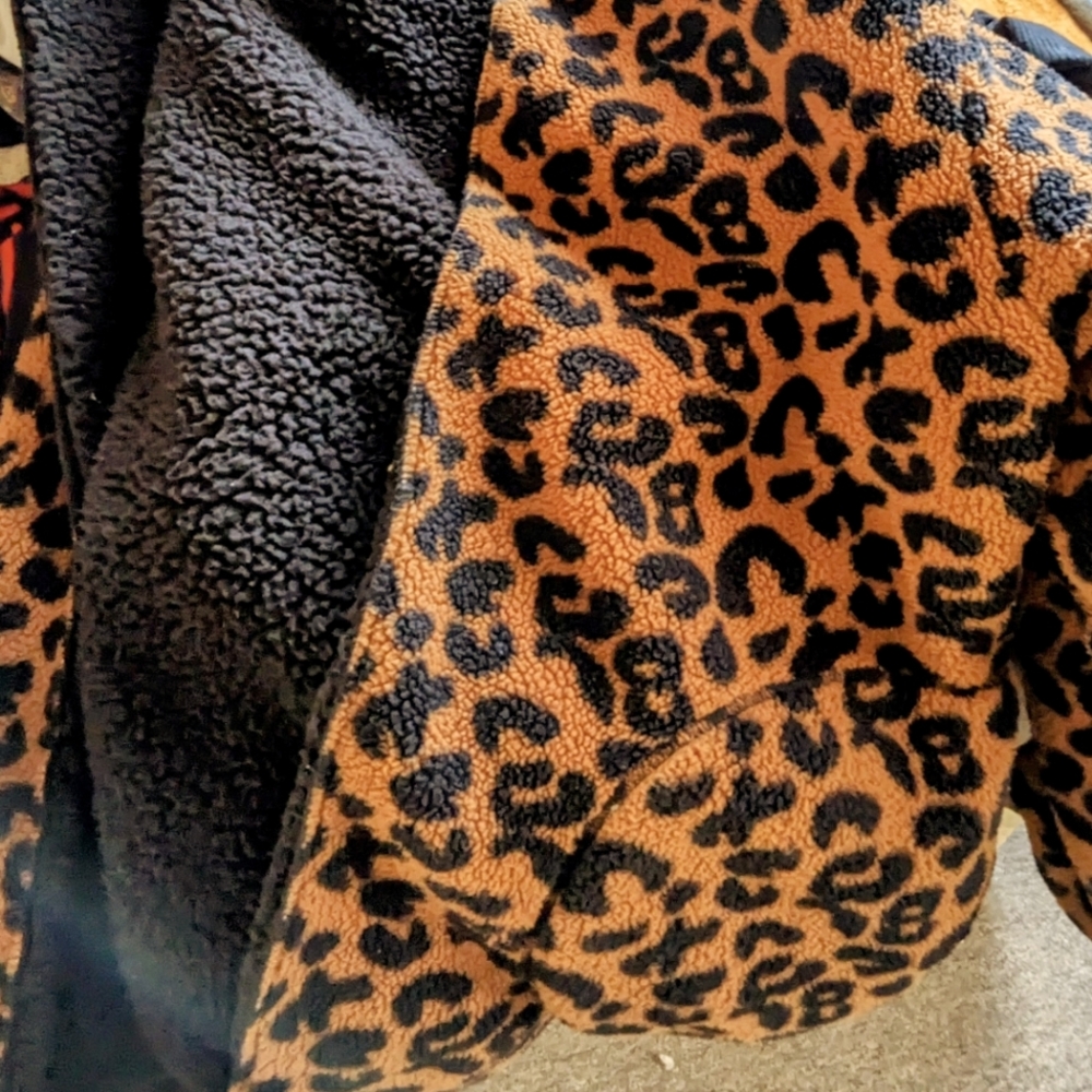 Cheetah Print Teddy